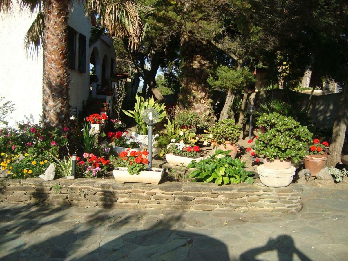 Solmar Apartment Palmadula Exterior photo